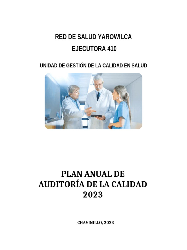 PLAN de AUDITORIA 2023 | PDF | Auditoría | Determinación del tamaño de ...