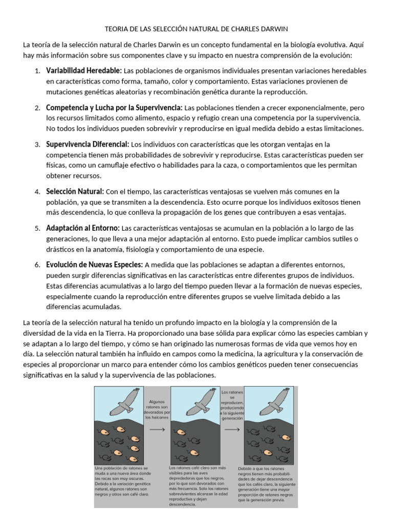 Selección Natural: Teoría de Darwin | PDF | Seleccion natural | Evolución