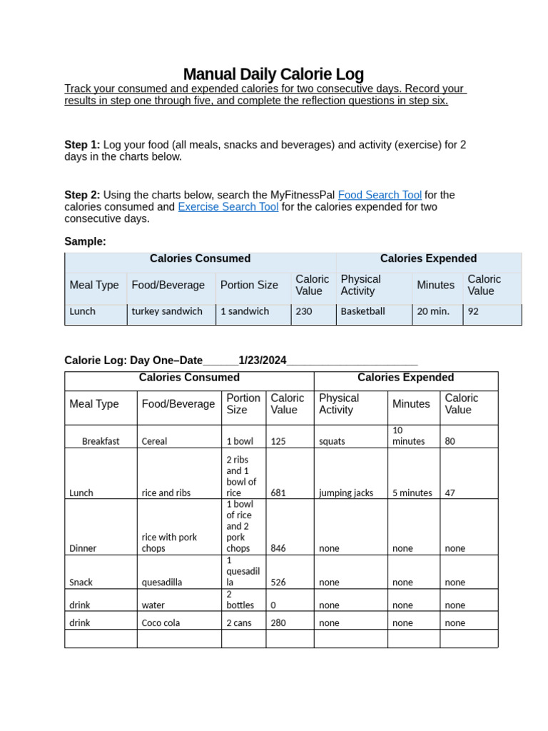 Manual daily calorie log 1 pdf dieting meal