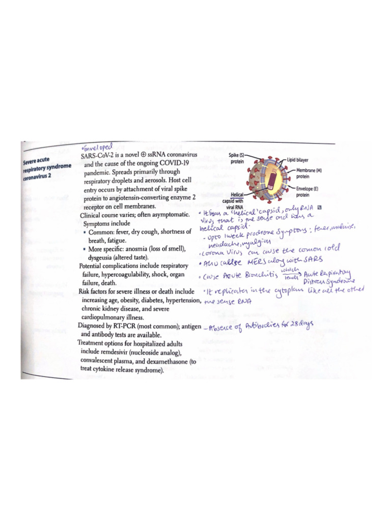 Corona Virus | PDF
