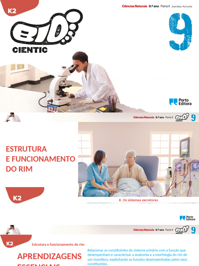K2 - Estrutura e Funcionamento Do Rim | PDF | Rim | Aparelho geniturinário