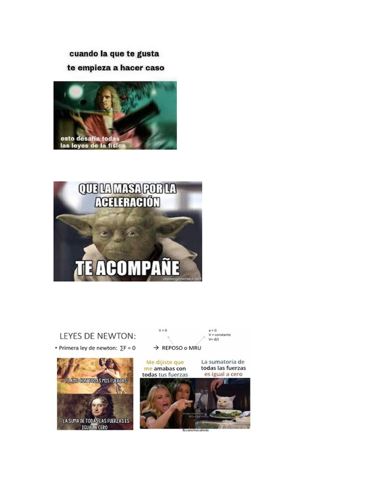 Memes N | PDF