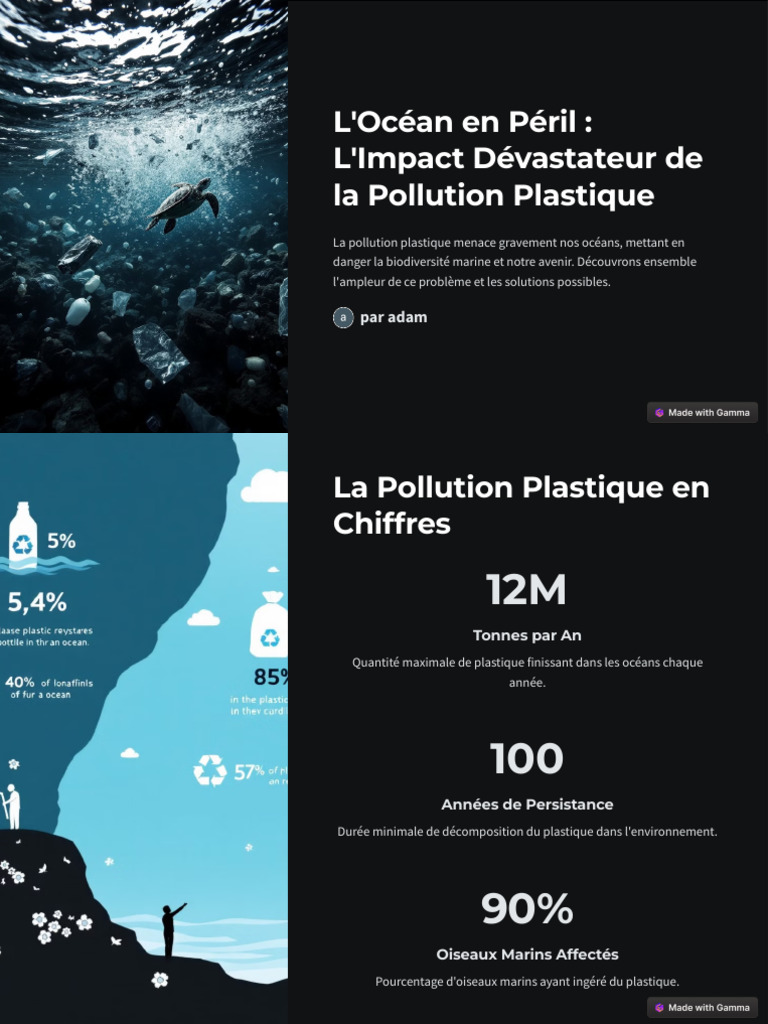 Pollution Plastique : Menace pour les Océans | PDF | Plastique | la ...