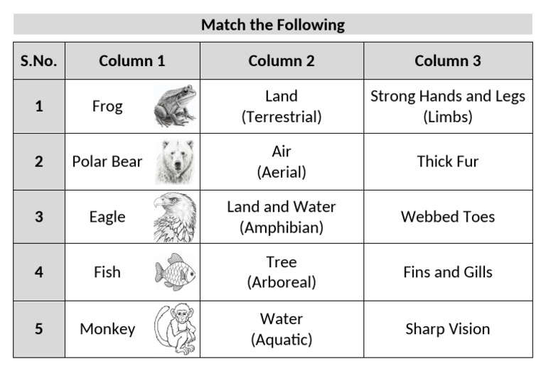 Animals | PDF