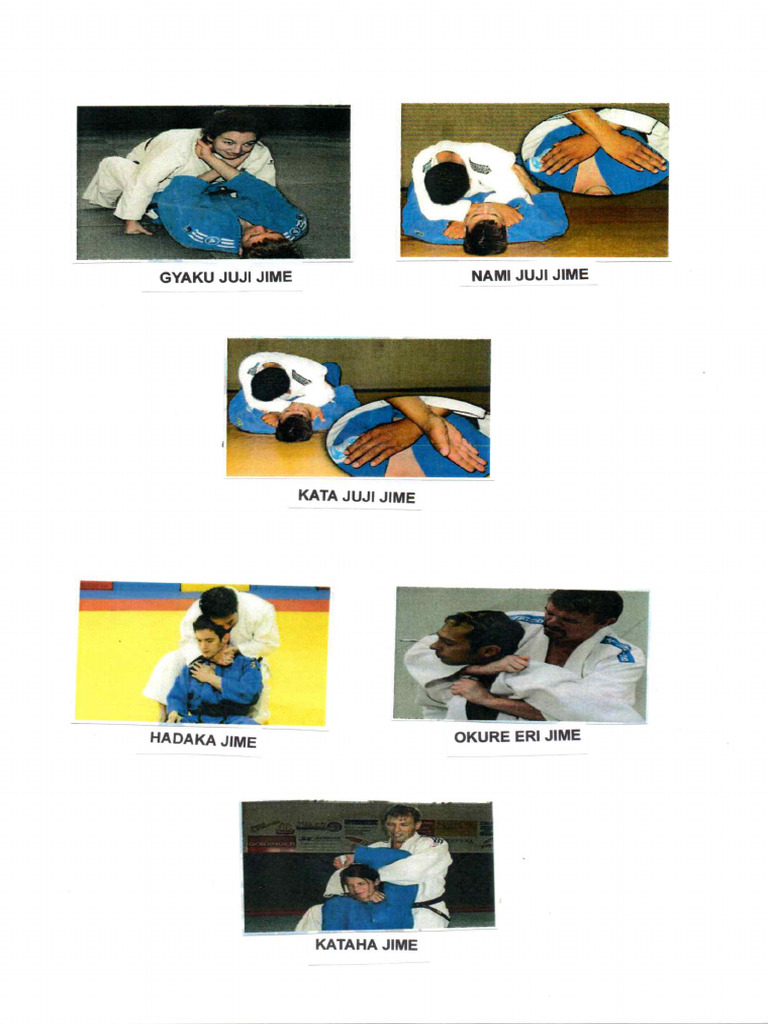 Shime Waza 1 | PDF