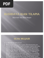 Download BUDIDAYA IKAN TILAPIA by Ardi Eko Mulyawan SN80040442 doc pdf