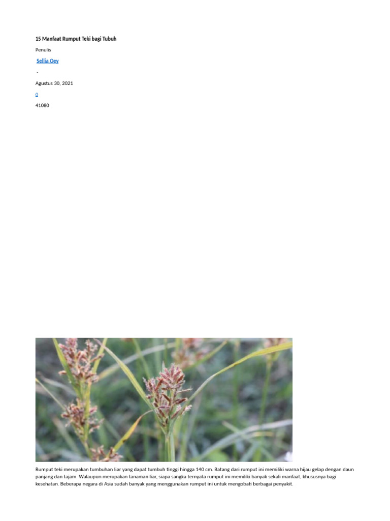 Manfaat Kesehatan Rumput Teki | PDF