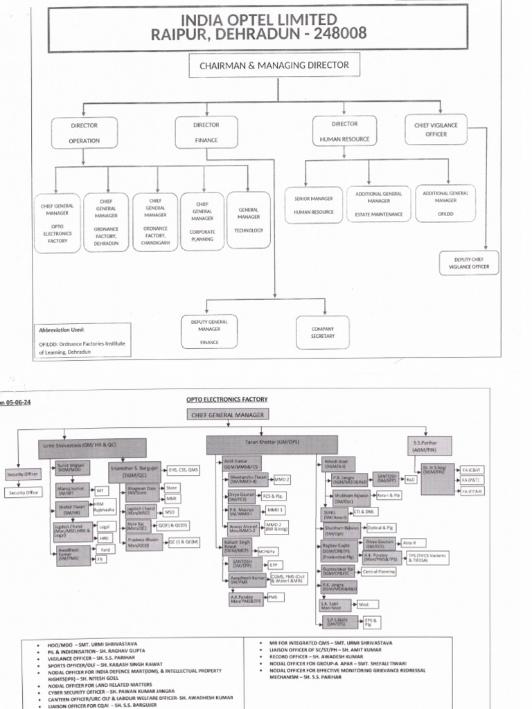 Org Chart Pdf