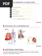 Fracciones Inhalable, Torácica y Respirable. Encarnación Sousa | PDF ...
