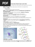 Sean's DNA Review Sheet