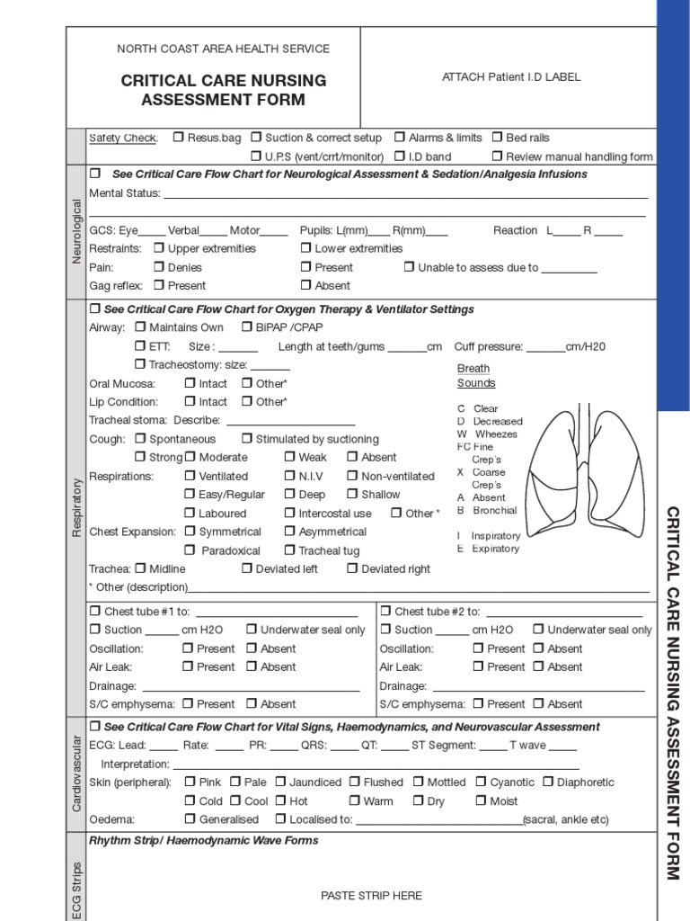 Critical Care Nursing Assessment Form - Copy | Intravenous Therapy