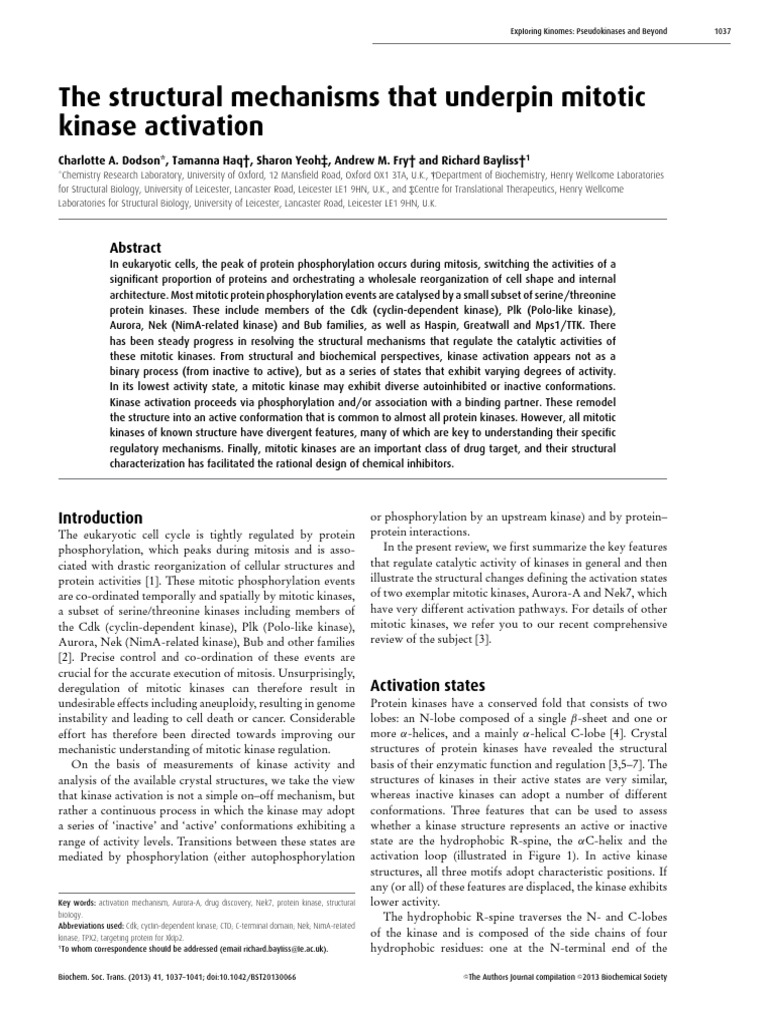 Mitotic Kinase Activation Mechanisms | PDF | Kinase | Amino Acid