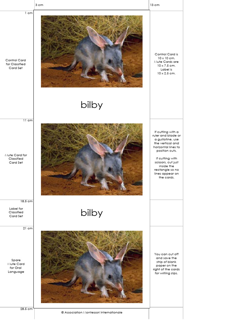 AustralianMammalsENP | PDF | Marsupials Of Australia | Mammals Of Australia
