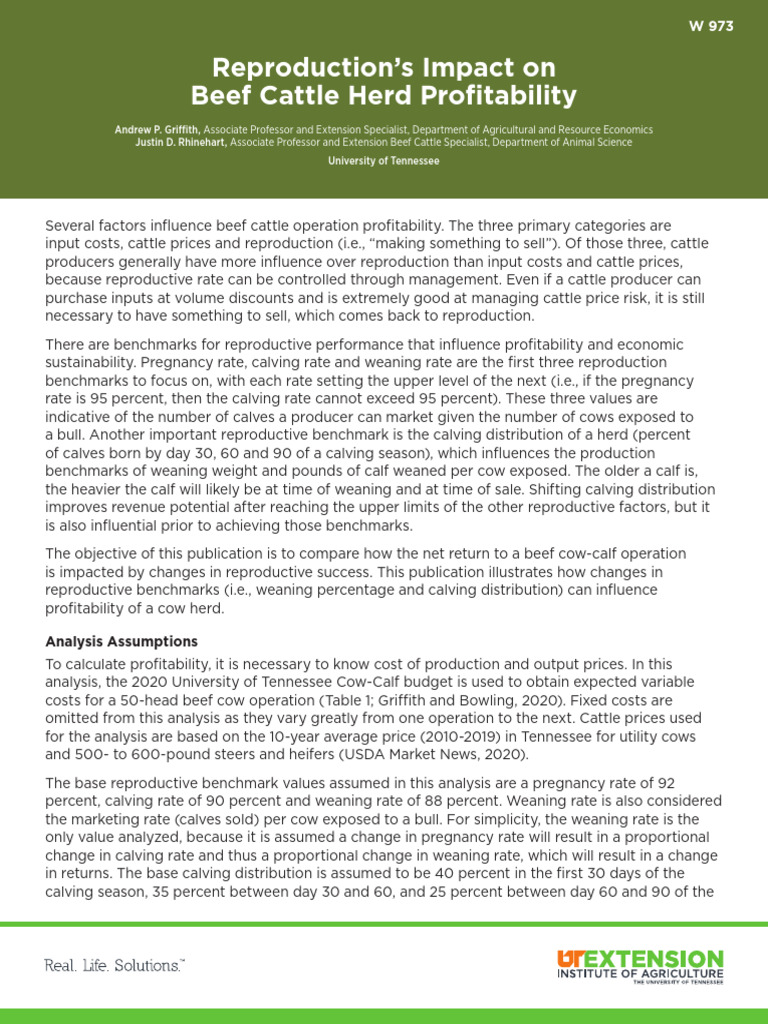 Reproduction’s Impact on Beef Cattle Herd Profitability | PDF | Cattle ...