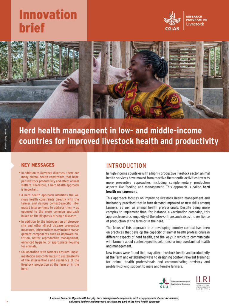 Herd Health Management for Livestock | PDF | Livestock | Veterinary ...