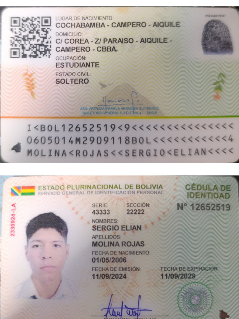 Carnet de Identidad | PDF