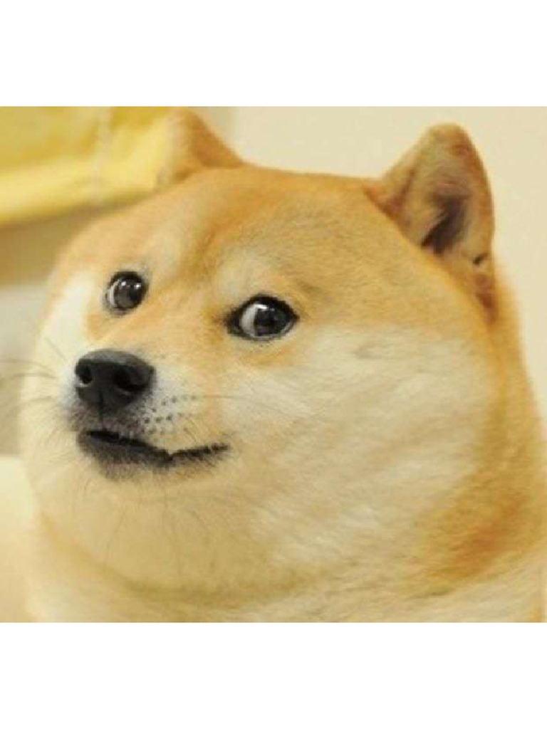 Doge Meme | PDF
