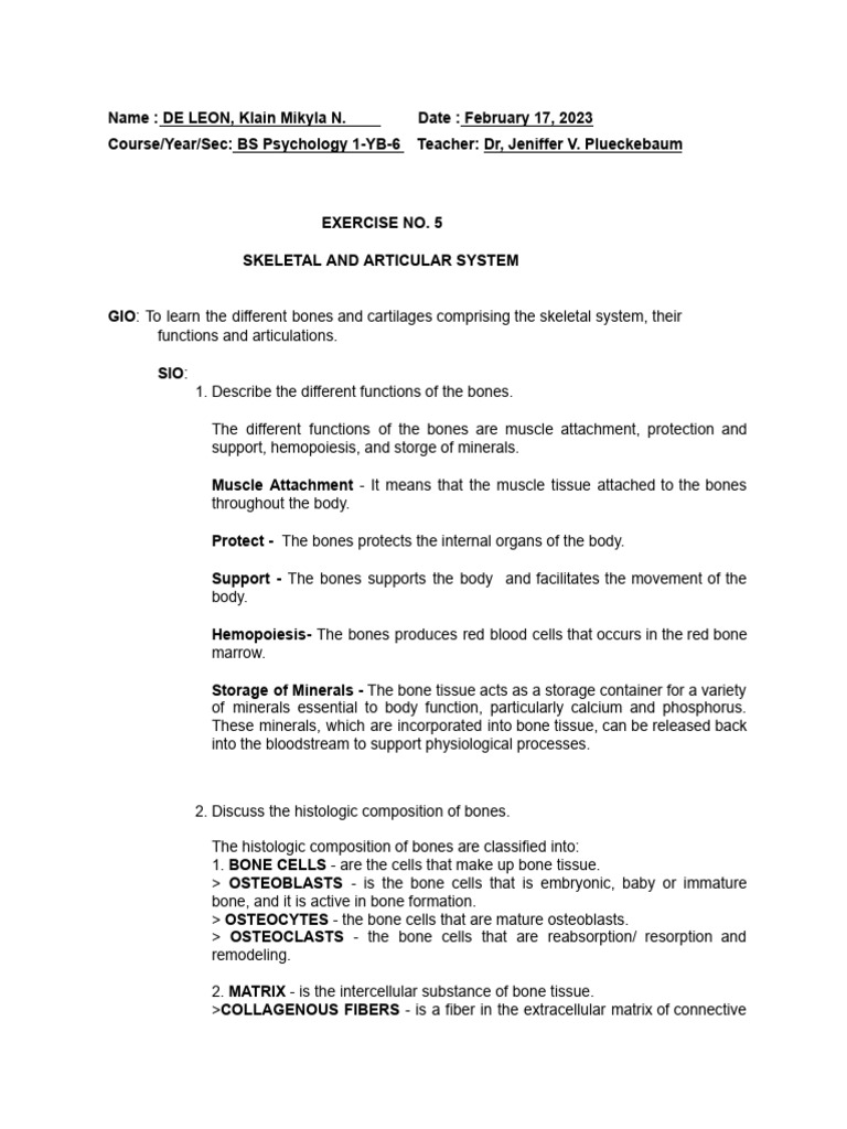 LAB EXERCISE - Skeletal System | PDF | Bone | Osteoblast