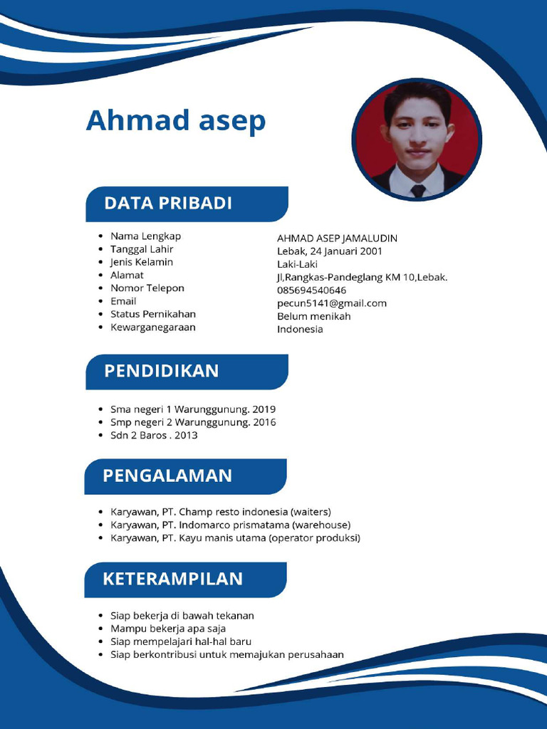 CV Terbaru Compressed | PDF