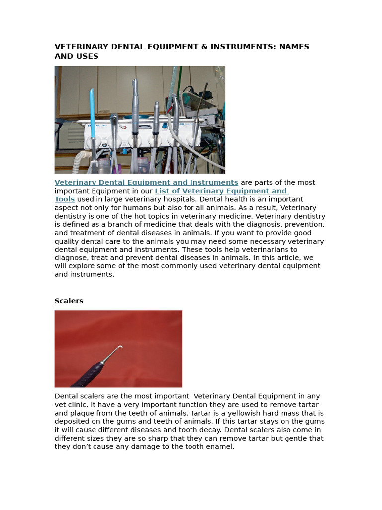 VETERINARY DENTAL EQUIPMENT INSTRUMENTS NAMES AND USES intelligence overview