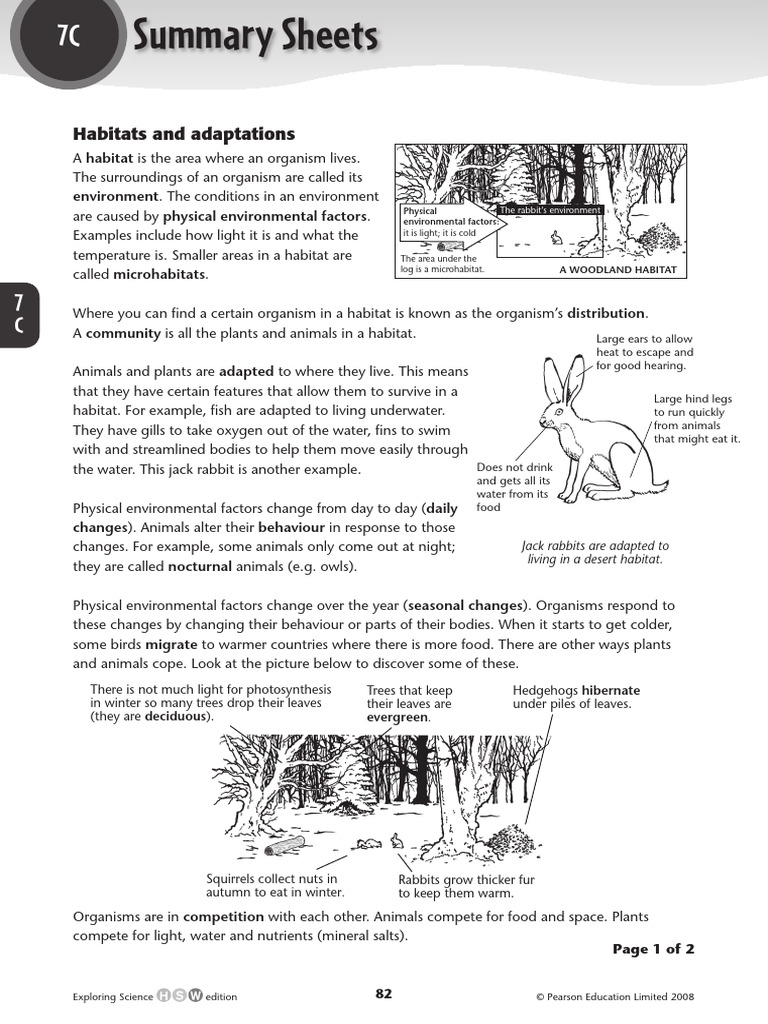 Es7 Asp C SS | PDF | Predation | Foods
