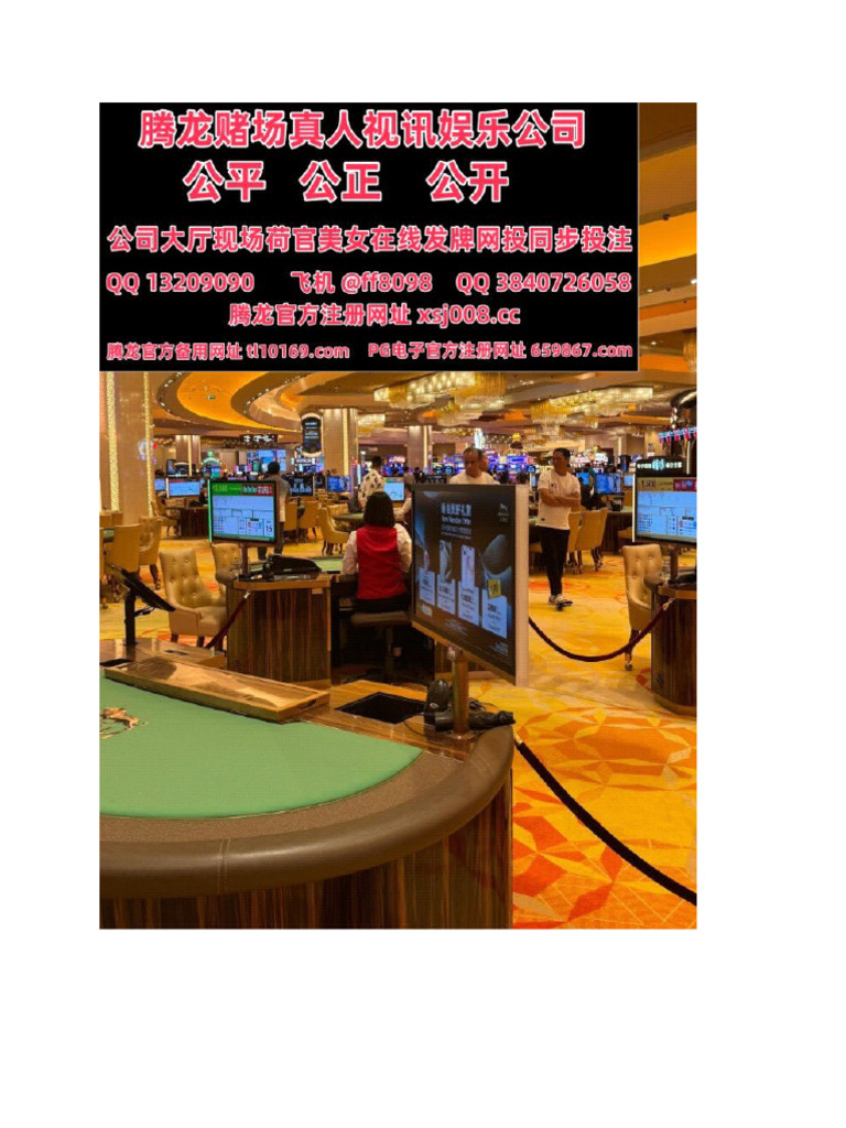 澳门赌场游玩指南最适合游客的4种玩法官网xsj008 cc | PDF