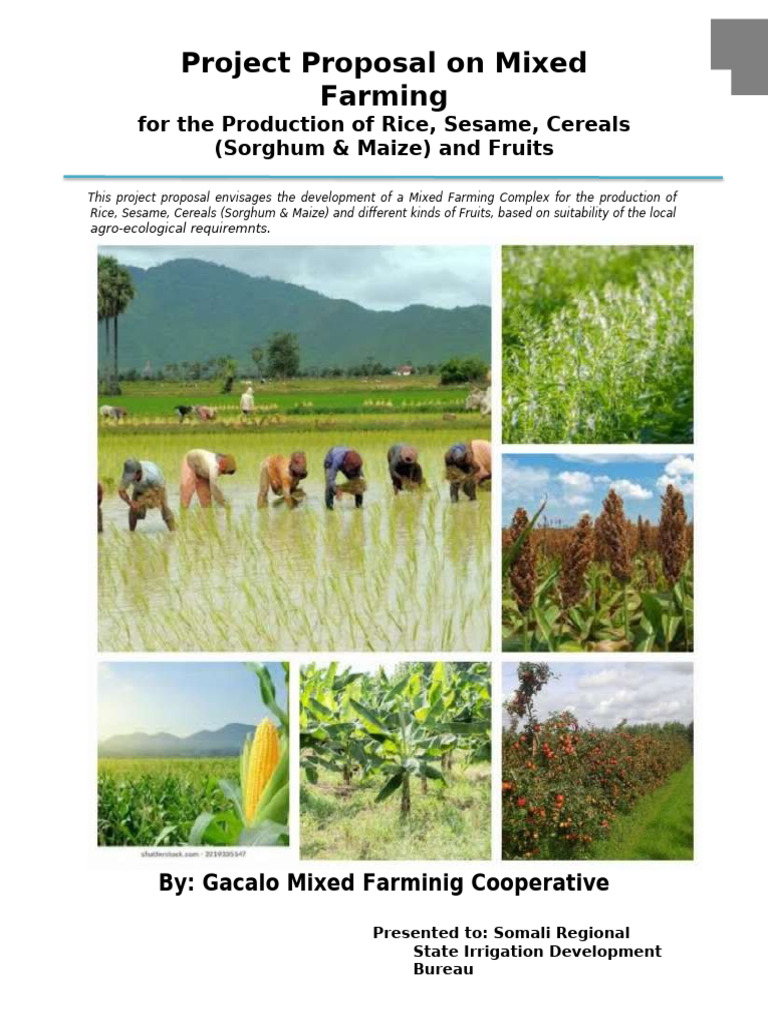 Mixed Farming Project Proposal for Rice & Fruits | PDF | Economies ...