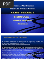 A Clase 5 Resumen Hormonas Fisiologia