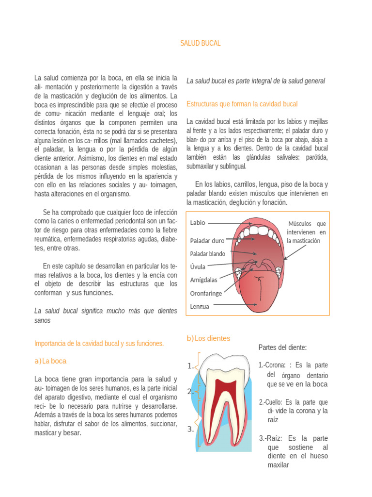 Salud Bucal y su Impacto en Diabetes | PDF | Higiene oral | Cáncer