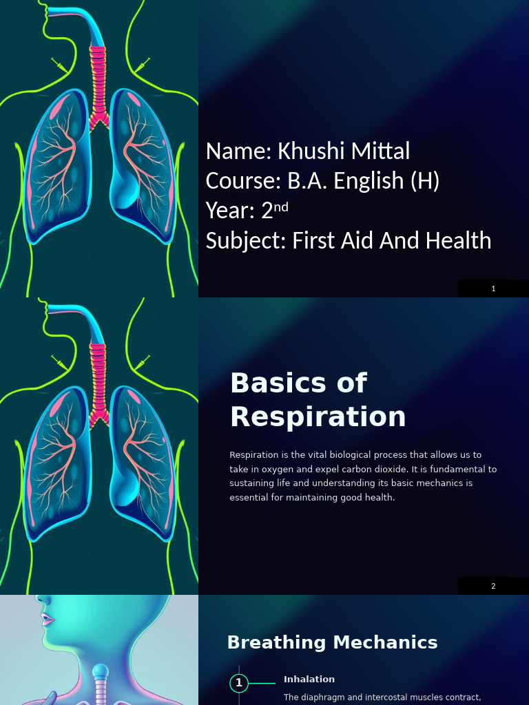 Gas Exchange in Human Respiration | PDF | Respiratory System | Lung