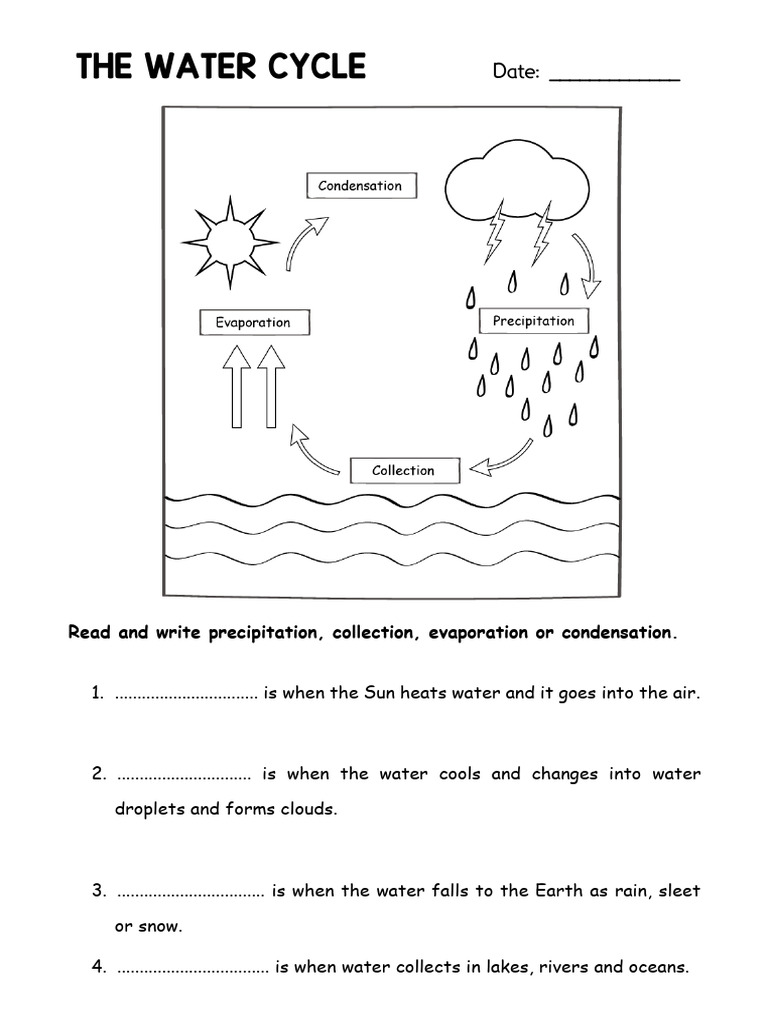 Understanding the Water Cycle | PDF