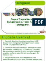 Projek Ikan Tilapia Sangkar SG Como