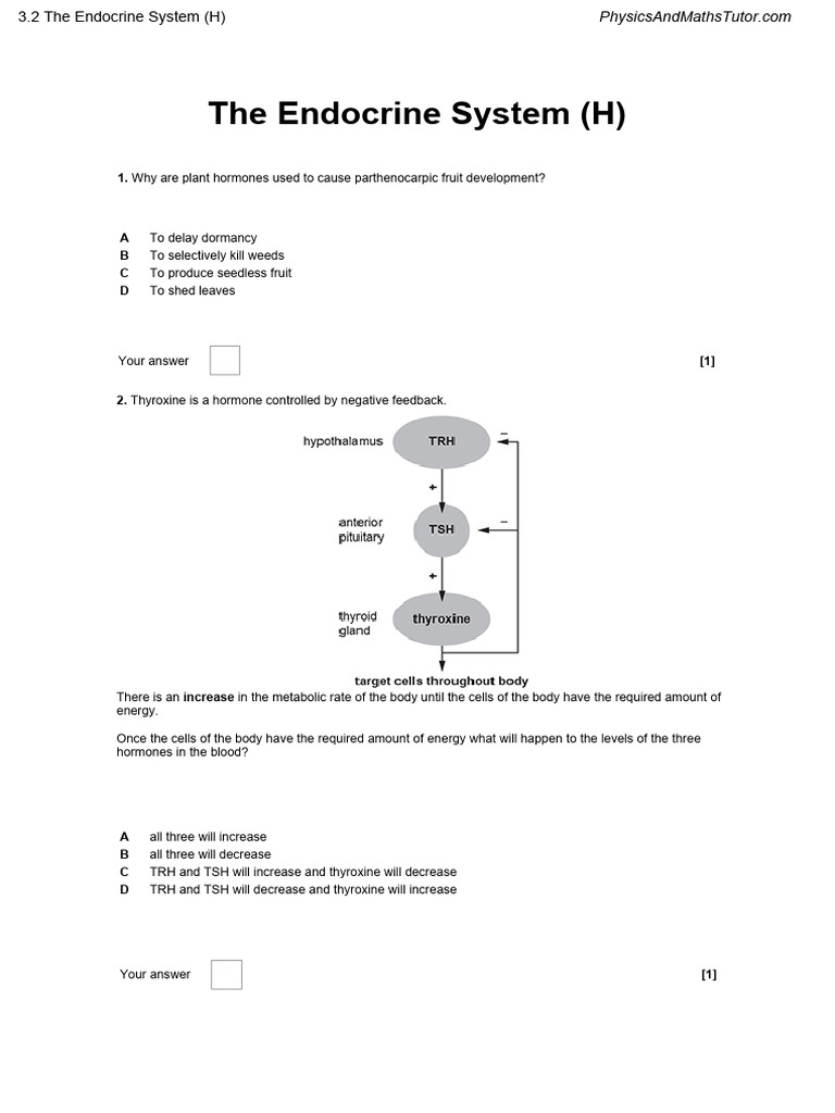 Advanced Hormone Study Guide | PDF | Thyroid Stimulating Hormone ...