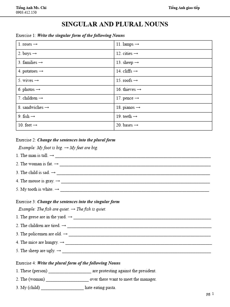 Singular and Plural Nouns Exercises | PDF