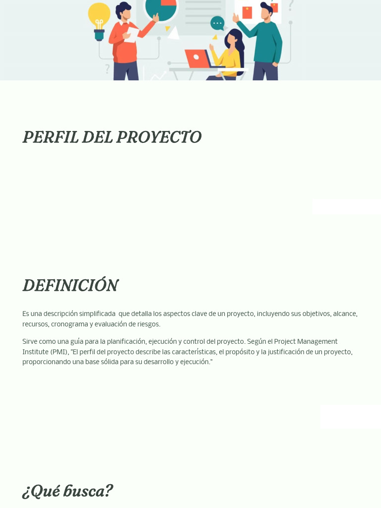 Guía para Crear un Perfil de Proyecto | PDF | Evaluación | Mercado ...