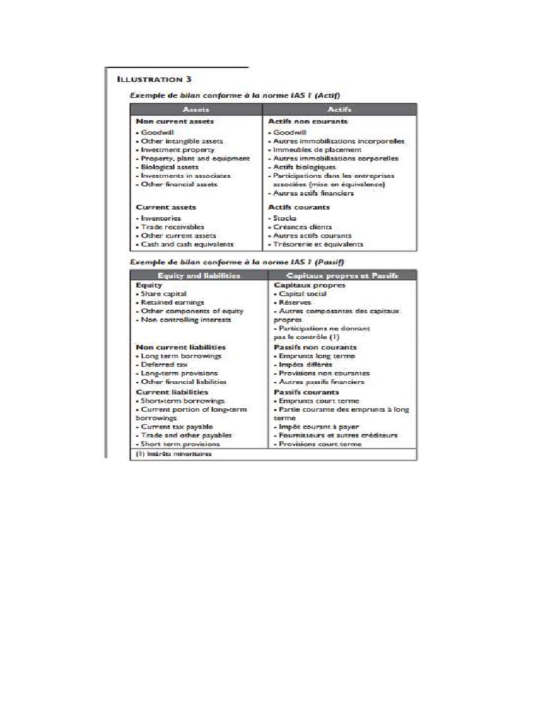 Passage Cgnc Ifrs 10 | PDF