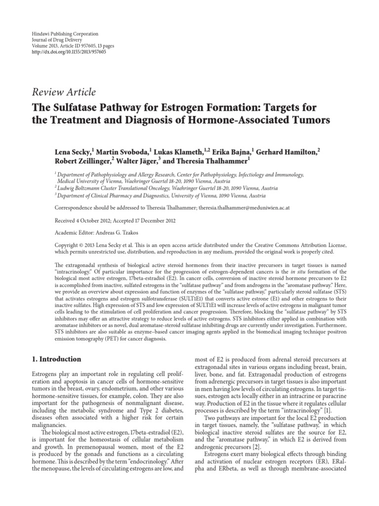 Sulfatases and Estrogens | PDF | Ovarian Cancer | Estrogen