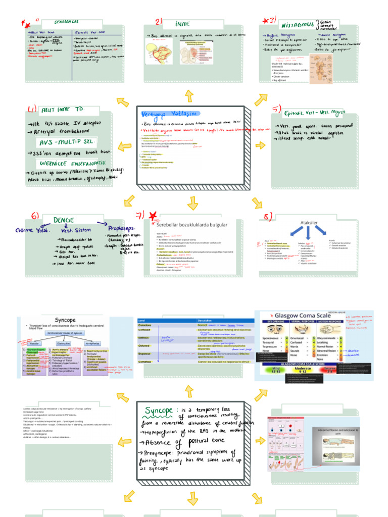 Nöro | PDF