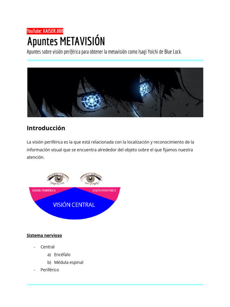 Cómo lograr la metavisión efectiva | PDF