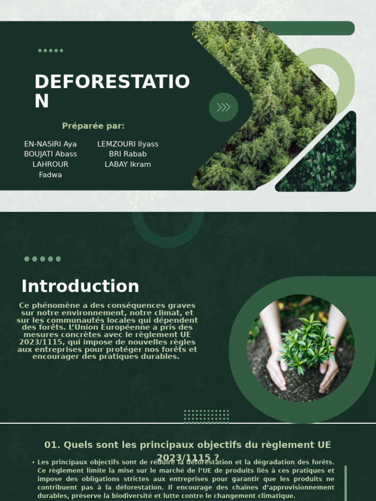 Règlement UE 2023/1115 : Lutte contre la déforestation | PDF ...