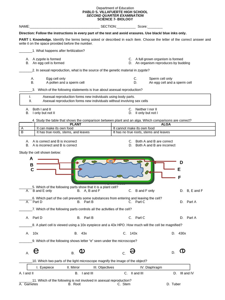 sample of science 7 exam | PDF | Reproduction | Sexual Reproduction