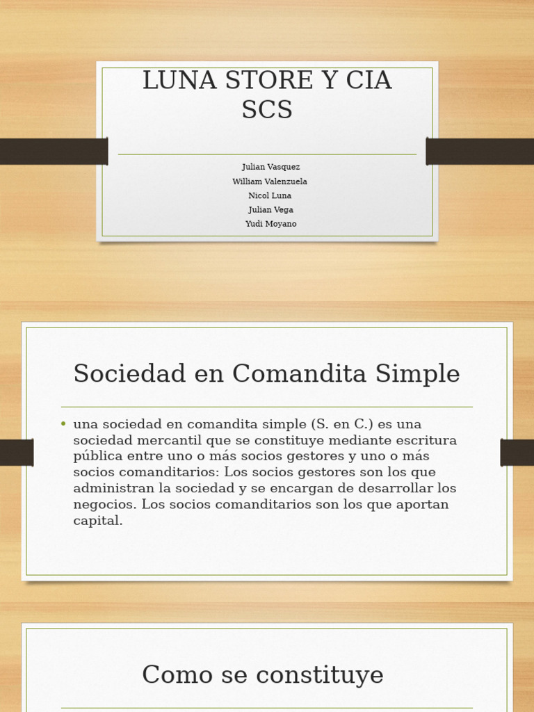 Estructura de Luna Store y Cia SCS | PDF | Business
