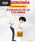 Guía de Higiene de Columna | PDF | La columna vertebral