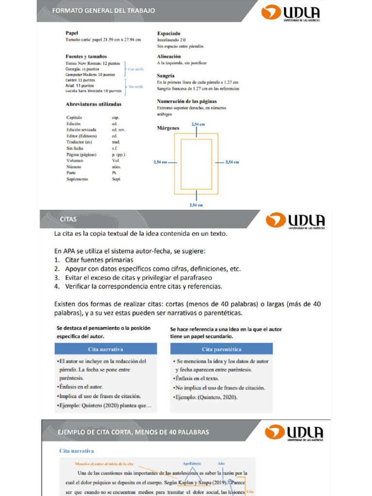 Normas APA 7ma | PDF