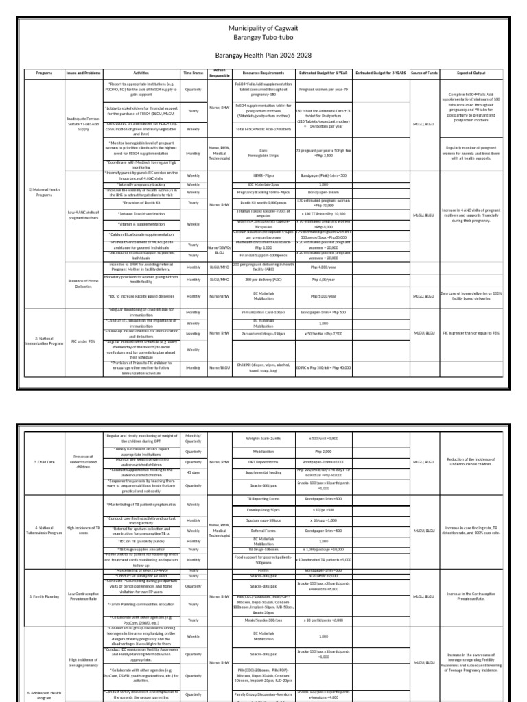 Barangay Health Plan | PDF | Pregnancy | Tuberculosis
