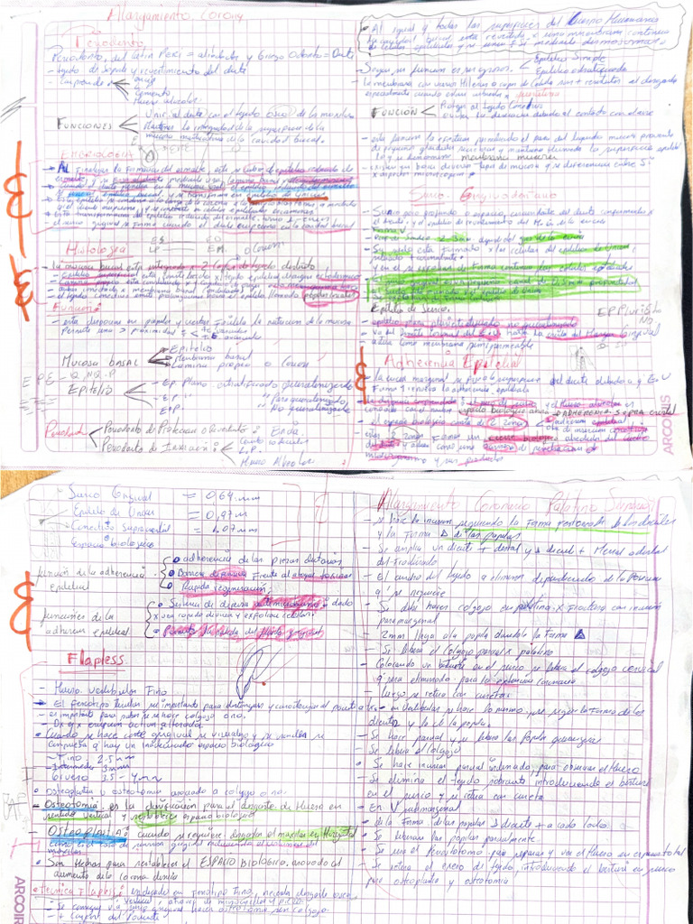 Clase 1 2 3 | PDF