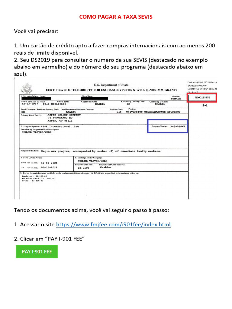 COMO PAGAR A TAXA SEVIS intelligence overview