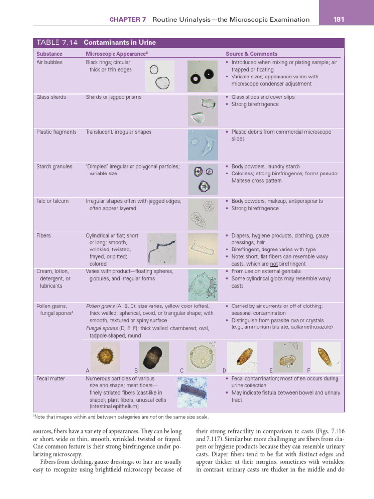 Fundamentals of Urine and Body Fluid Analysis - Ebook 5th Edition Page ...