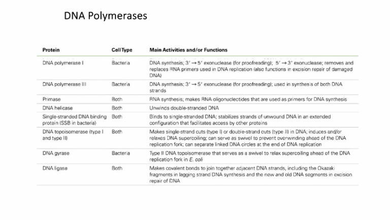 DNA Polymerases (1) - Ocred | PDF