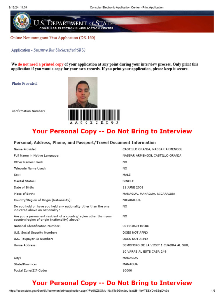 Consular Electronic Application Center - Print Application DEC | PDF ...